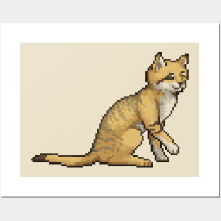 Sand Cat Posters and Art